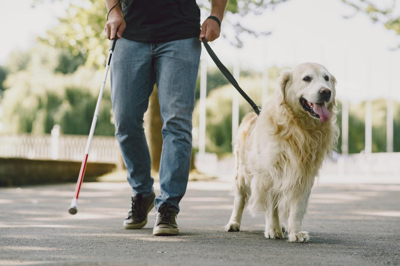 Wesprzyj projekt WEYS GUIDE DOG