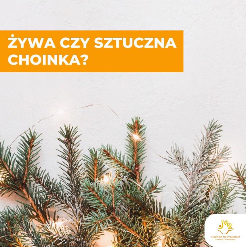 Żywa czy sztuczna choinka